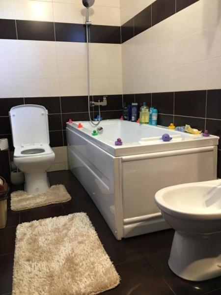 Vila Evaemma Năvodari Exteriör bild